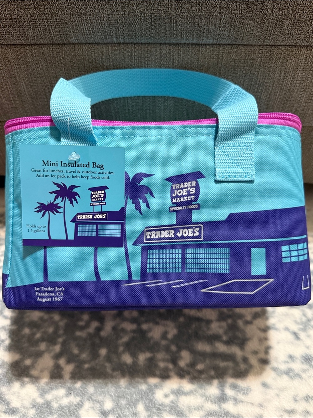 Mini Insulated Tote Bag in Aqua with Purple and Pink Trim